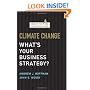 Climate Change: What's Your Business Strategy? (Memo to the CEO)