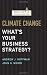 Climate Change: What's Your Business Strategy? (Memo to the CEO)