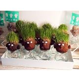 hair LABO[ヘアーラボ]底面給水タイプ2個セット[頭から芝が生える！]