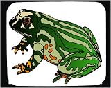 Decorated Mouse Pad with green, stripes, frog, sitting, amphibian