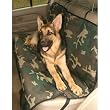 PINK - SMALL - Stylish Camo Car Seat Covers