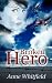 Broken Hero