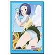 ブシロードスリーブコレクションHG (ハイグレード) Vol.192 もっとTo LOVEる-とらぶる- 『西連寺 春菜』Part.2