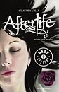 Afterlife