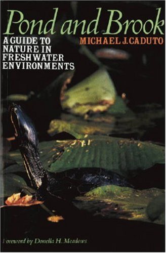 Environment and Nature