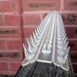 Clear Fence and wall spikes pack of 8