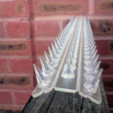Clear Fence and wall spikes pack of 8