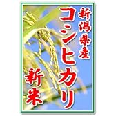 【新米23年産】田辺さん家の有機質肥料100％・低減農薬　新潟県産コシヒカリ100％玄米　5ｋｇ　くっつかないしゃもじ付