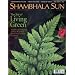 Shambhala Sun