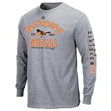 MLB Baltimore Orioles Adult Long Sleeve Basic Tee (Steel Heather, Large)