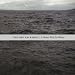 neuer amerikanischer folk