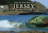 Sealife in Jersey : a little souvenir