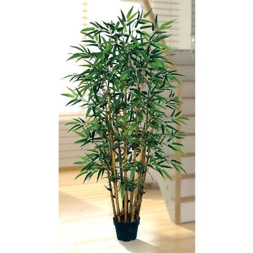 Bamboo Silk Tree 5′