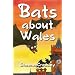 Bats About Wales (Out and About in Wales)