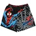 Search : Spider-man Black Spider Web Cotton Boxer Shorts for Men (Small, XL Only)