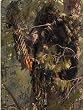 Bow Hunter Ghillie Suit Medium-Large Left Handed Woodland