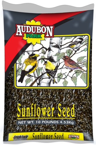 Audubon Park 10-Pound Pouch Bird and Critter Seeds and Grains Black Oil Sunflower Seed Bird Food