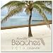 Florida Beaches 2010 Wall Calendar, 12x12