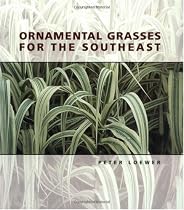 Ornamental Grasses of the