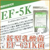 新型乳酸菌EF-621K菌【EF-5K】細粒 30包 新型
