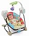 Fisher-Price Space Saver Swing and Seat, Luv U Zoo