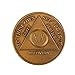 19 Year Bronze AA (Alcoholics Anonymous) - Sober / Sobriety / Birthday / Anniversary / Recovery / Medallion / Coin / Chip by Generic