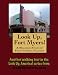 A Walking Tour of Fort Myers, Florida (Look Up, America!)