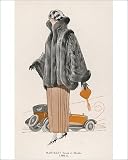 Photographic Prints of Mole a Skunk Mantlet from Mary Evans