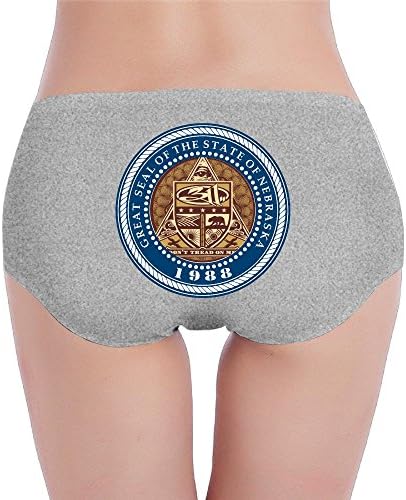 Nebraska Flag Rock Band 311 Womens Low-Rise Briefs
