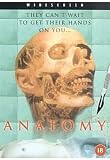 Anatomie