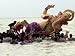 Devotees Immerse a Giant Clay Idol of Hindu Elephant-Headed God Ganesh into the Arabian Sea, Bombay Photographic Poster Print, 36x48
