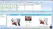 1 Year American English Pronunciation Patterns Network Subscription 7.0: Perfect English Pronunciation Software to Help You Improve Pronunciation, Speaking, Vocabulary, Spelling, Listening, and Reading, and Reduce Accent. (Downloading Only)