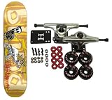 BLIND Skateboards DUNCOMBE CHASER Complete Skateboard