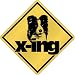 New  Border Collie X-Ing / Xing  Crossing Dog