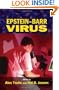 Epstein-Barr Virus (Infectious Disease and Therapy)
