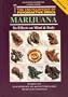 Marijuana: Its Effects on Mind and Body (Encyclopedia of Psychoactive Drugs)