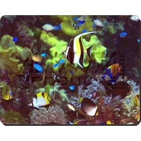 Tropical Fish Computer Mouse Mat/Pad Gift, Ref:AF-T40M