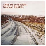 Wild Mountainside