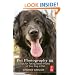 Pet Photography 101: Tips for taking better photos of your dog or cat
