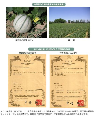 Cover image : メロンのチカラ 60粒入り