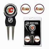 NHL Calgary Flames 3 Marker Sign Divot Pack