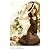 amore ( アモーレ ）マキシ丈ワンピース 2011年 Long Dress Coffee