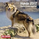 Hunde 2012 Broschürenkalender