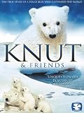 Knut and Friends