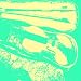 Kalahari Resort - Single