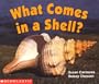 What Comes In A Shell (Science Emergent Reader) (Science Emergent Readers)