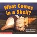 What Comes In A Shell (Science Emergent Reader) (Science Emergent Readers)