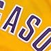 NBA adidas Pau Gasol Los Angeles Lakers Revolution 30 Swingman Performance Jersey-Gold
