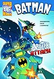 Arctic attack