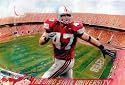 A.J. Hawk (In Action, Ohio State Stadium) Sports Poster Print - 11" X 17"